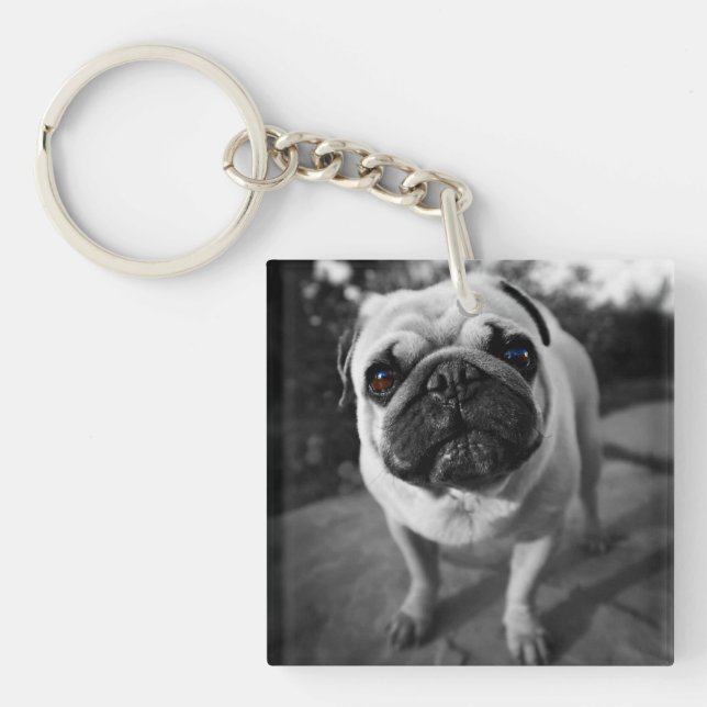 Llavero Pug guapo (Frente)