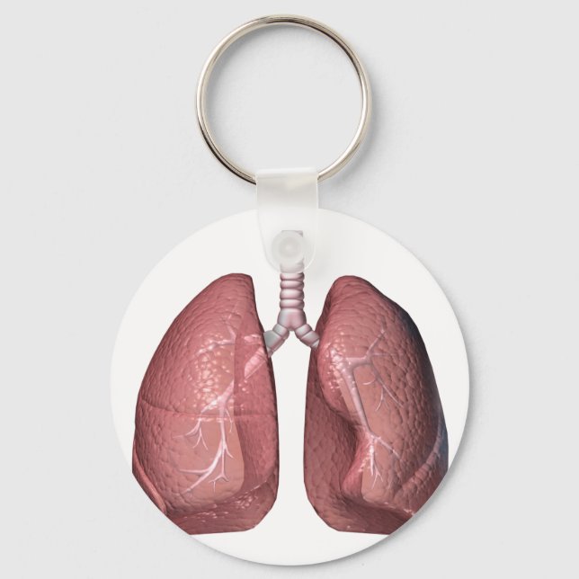 Llavero pulmones (Anverso)