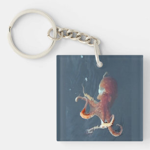 Llavero Pulpo de arte marino personalizable de la Isla de 