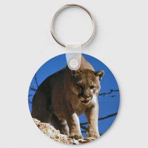 Llavero puma
