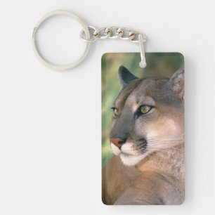 Llavero Puma, California