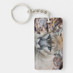 Llavero Puma, león de montaña, pantera de Florida, Puma