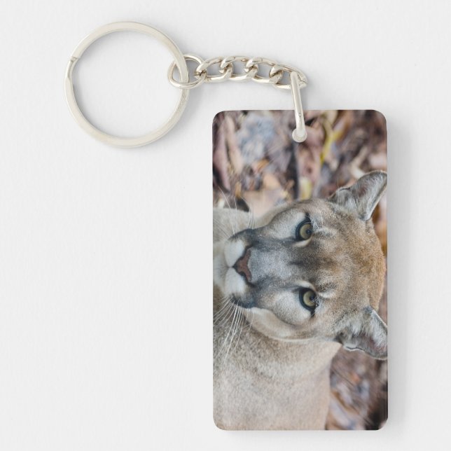 Llavero Puma, león de montaña, pantera de Florida, Puma (Frente)