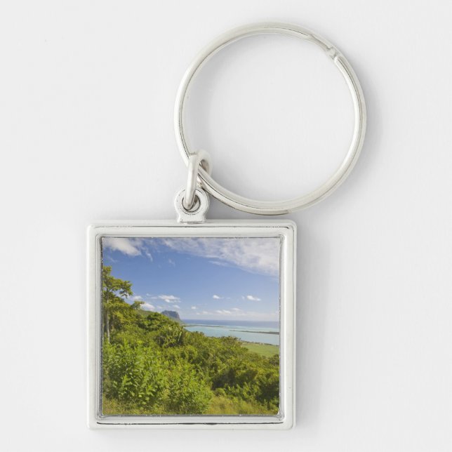 Llavero Punto de vista cerca de Grand Riviere Noire, Sur (Frente)