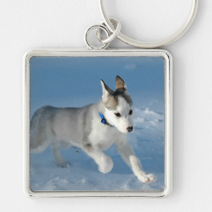 Llavero Pup en la nieve