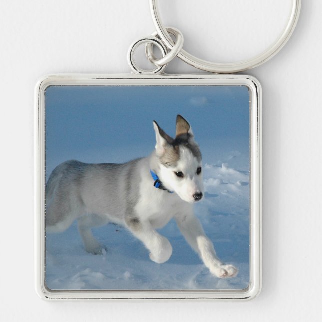 Llavero Pup en la nieve (Frente)