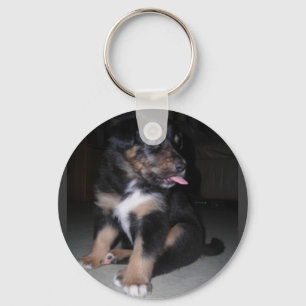 LLAVERO PUPPY RASPBERRY KEYCHAIN