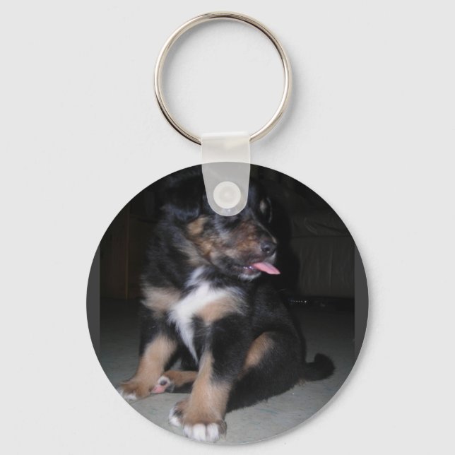 LLAVERO PUPPY RASPBERRY KEYCHAIN (Anverso)