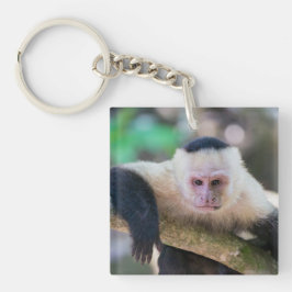 Llavero Pura vida para el mono capuchino de cara blanca