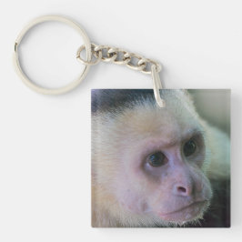 Llavero Pura vida para el mono capuchino de cara blanca