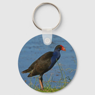 Llavero Púrpura Swamphen