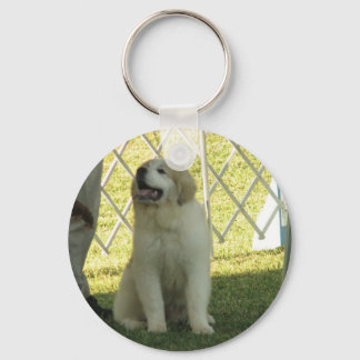 Llavero Pyr Puppy