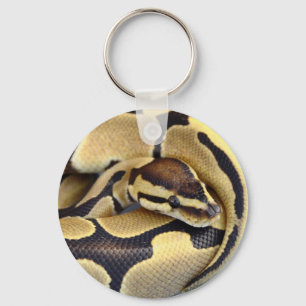 Llavero Python de bola amarilla y negra 3