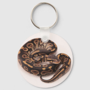 Llavero Python de bolas negro y amarillo