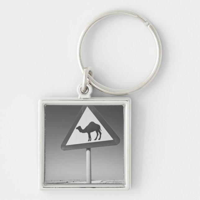 Llavero Qatar, Al Zubarah. Camello que cruza el Rótulo hac (Frente)