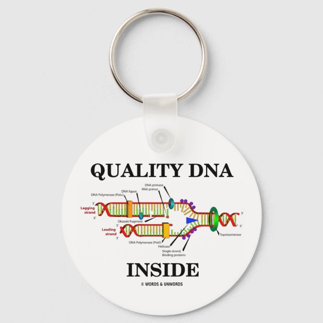 Llavero Quality DNA Inside (DNA Replication) (Anverso)