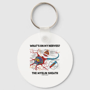 Llavero ¿Qué hay en mis nervios? Myelin Sheath