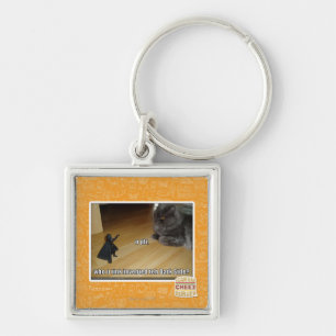 Llavero ¿Quién inventó el lado oscuro?