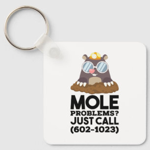 Llavero Química - Problemas de Mol 