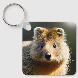 Llavero Quintin The Ginger Quokka, Keyring