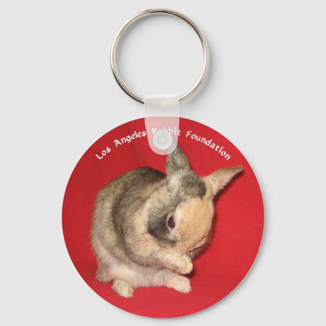 Llavero Rabbit Keychain (Anverso)