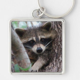 Llavero Raccoon