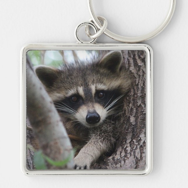 Llavero Raccoon (Frente)