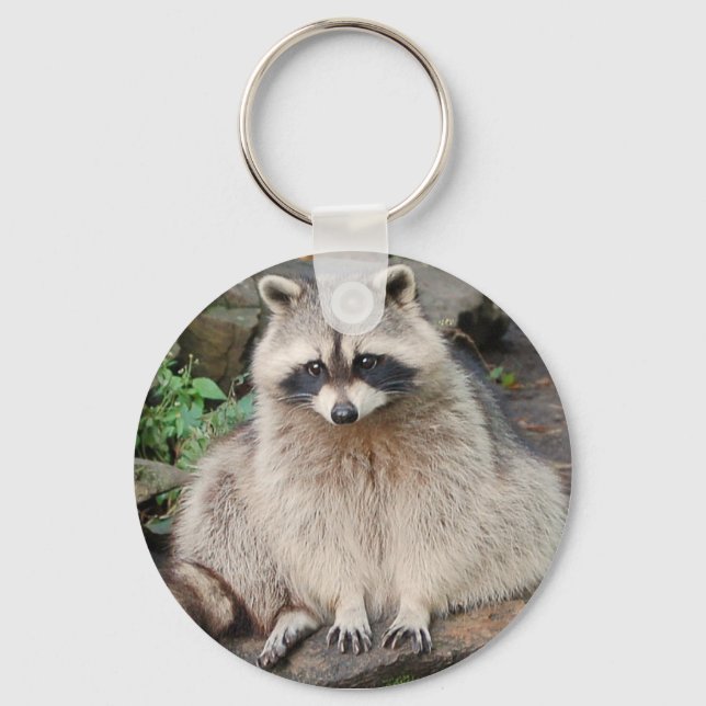 Llavero Raccoon (Anverso)