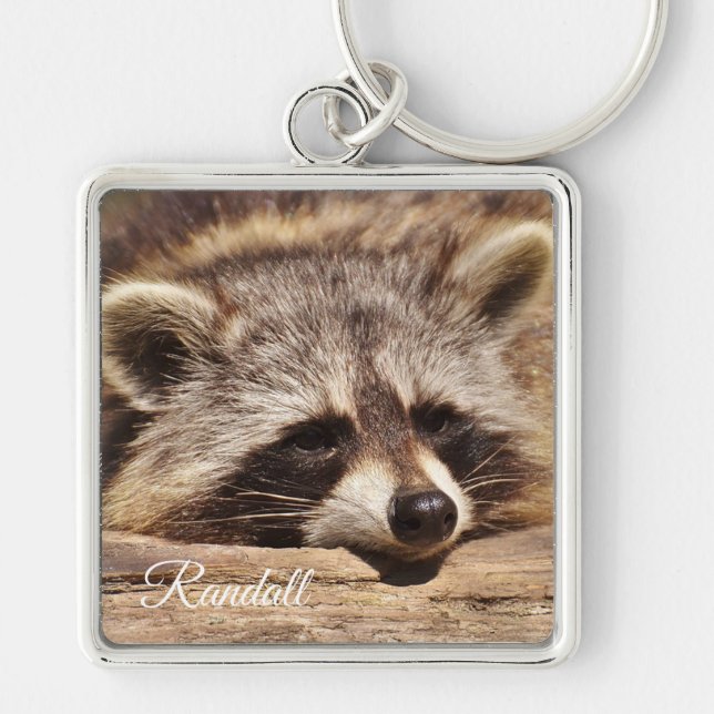 Llavero Raccoon (Frente)