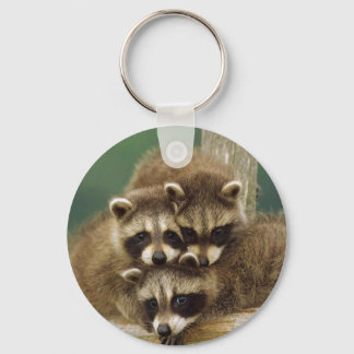 Llavero Raccoon