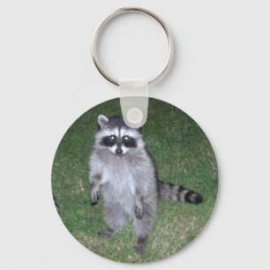 Llavero Raccoon Keychain