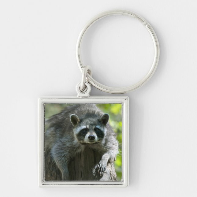 Llavero Raccoon Keychain (Frente)