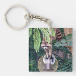 Llavero Raccoon montando el alimentador de aves