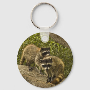Llavero Raccoons