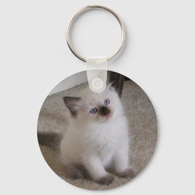 Llavero Ragdoll Kitten (Anverso)