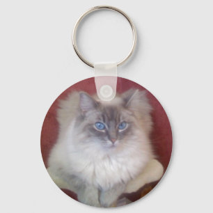 Llavero Ragdolls