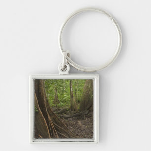 Llavero Raíces de Contrafuerte. Selva Tropical, Mapari Rup
