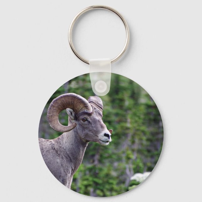 Llavero Ram en un campo (Anverso)