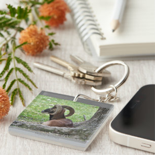 Llavero Ram Keychain