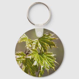Llavero Rama de arce verde suave con llave de hojas pequeñ