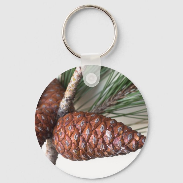 Llavero Rama de pino con pinecona (Anverso)
