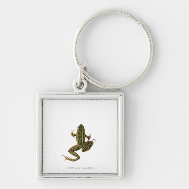 Llavero Rana 2 (Frente)