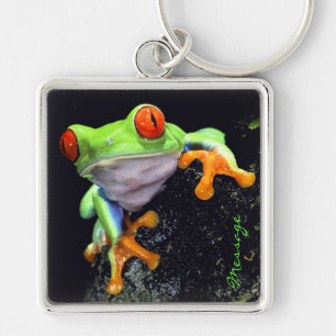 Llavero Rana 3 Keychain