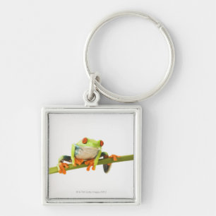 Llavero Rana arbórea en tronco