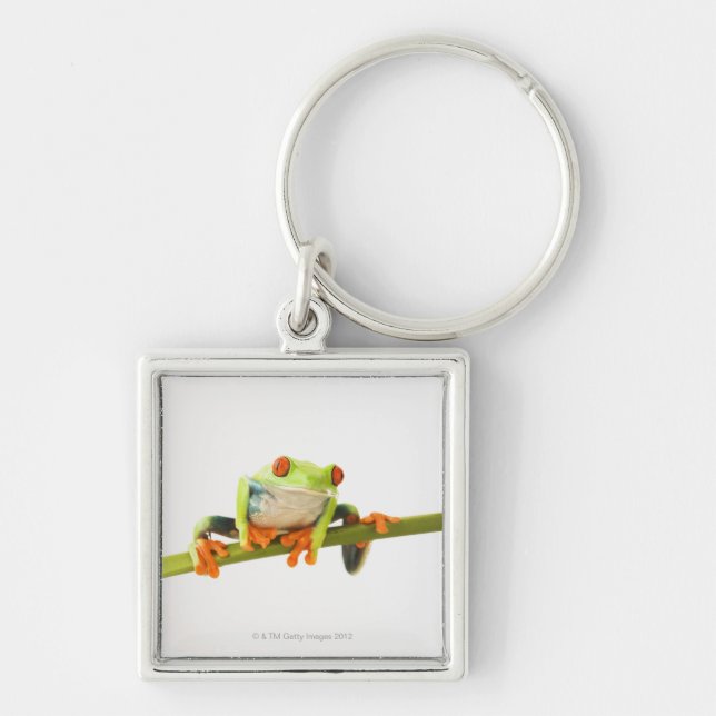 Llavero Rana arbórea en tronco (Frente)