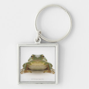 Llavero Rana arbórea verde (Hylidae cinerea)