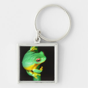 Llavero Rana arborícola de ojos rojos australiana, Litoria