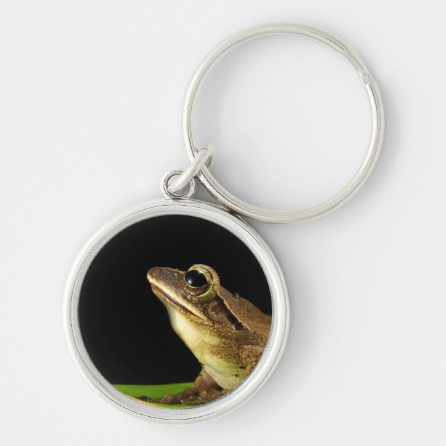 Llavero Rana común en una hoja (Frente)