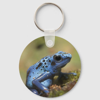 Llavero Rana Dart de veneno azul
