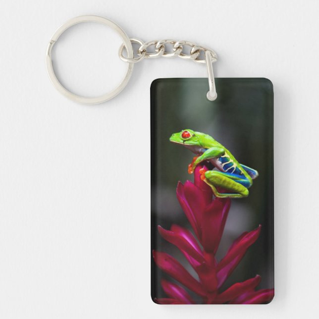 Llavero Rana de los ojos rojos (Frente)